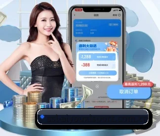 未来布局 - AI 与大数据深度融合,为用户提供个性化的智能服务。