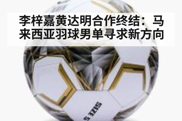 李梓嘉黄达明合作终结：马来西亚羽球男单寻求新方向